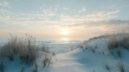 Poster - Serene winter sunrise over a snow-covered beach.