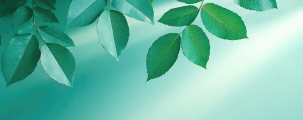 Poster - Rose leaves abstract background concept. Vibrant green leaves gently swaying in a soft breeze against a calming background.