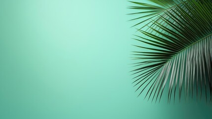 Poster - Palm leaves abstract background concept. Vibrant green palm leaf against a soothing mint green background.