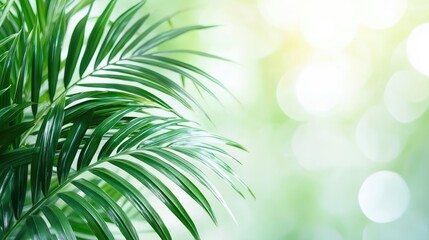 Poster - Palm leaves abstract background concept. Vibrant green palm leaves with a soft, blurred background creating a tranquil atmosphere.