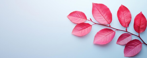 Poster - Rose leaves abstract background concept. Vibrant red leaves on a simple background showcasing nature's beauty.