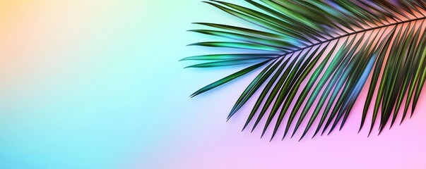 Poster - Palm leaves abstract background concept. Vibrant palm leaf against a colorful pastel background, ideal for tropical themes.
