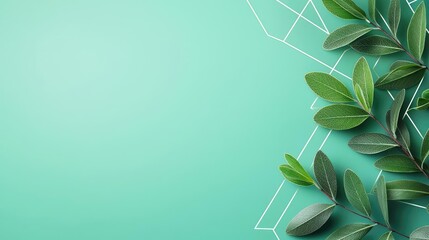 Poster - Sage leaves abstract background concept. Delicate green leaves on a fresh mint background, perfect for nature-themed designs.
