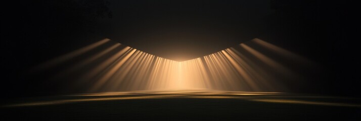 Canvas Print - a dark field with a bright light shining down on it