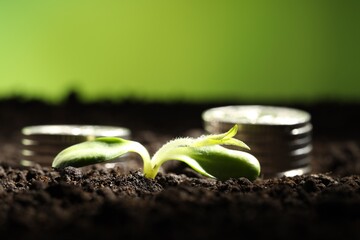 Wall Mural - Money growth concept. Coins with young sprout in soil on green background, closeup. Space for text