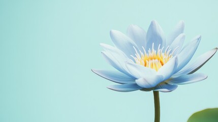 Poster - A serene blue lotus against a pale teal background, close-up shot, Minimalist style