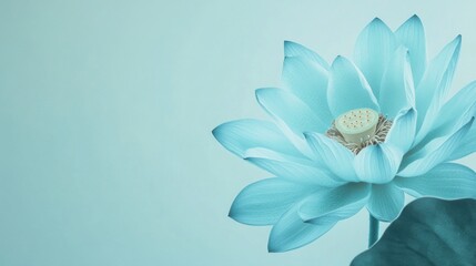Poster - A serene blue lotus against a pale teal background, close-up shot, Minimalist style