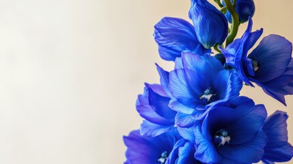 Poster - A vivid blue delphinium against a soft beige background, close-up shot, Minimalist style