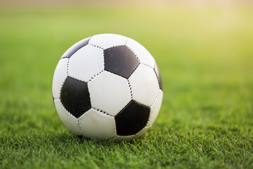 Classic black and white soccer ball resting on a green grassy field in natural sunlight