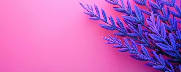 Wall Mural - Lavender leaves abstract background concept. Vibrant purple leaves against a soft pink background, perfect for modern design themes.