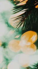 Wall Mural - christmas lights pine needles blur festive background