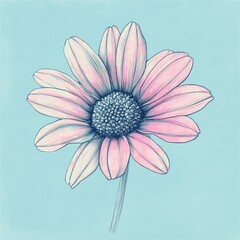 Wall Mural - Pastel pink daisy flower illustration on blue background.