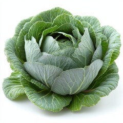 photo of a cabbage, hd, isolated on white backgroun