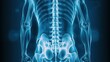 © NAD SANG PAP - X-ray imaging of the human spine medical research facility educational content clinical environment close-up view anatomy insights