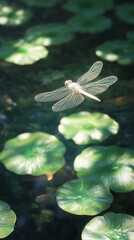 Canvas Print - Dragonfly in flight over water lilies.