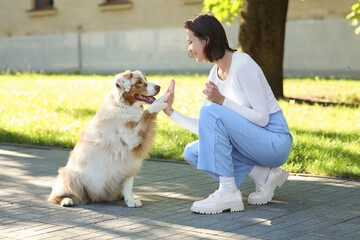 young woman holding paw of cute australian shepherd dog in park