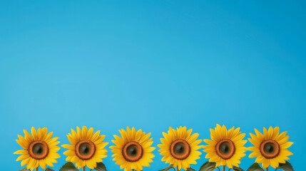 Wall Mural - A vibrant row of sunflowers against a bright blue background, showcasing their cheerful yellow petals and contrasting hues.