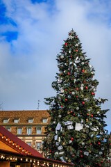 Wall Mural - The Great Christmas tree in Place Kleber, Strasbourg, France, the capital of Christmas, with a historic half-timbered house in the background