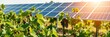 © Chalermrach - Sprawling vineyard with solar panels above grapevines for sustainable agriculture, grapes, sustainable agriculture