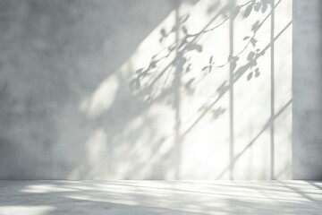 Wall Mural - sunlight casts leafy shadows on a minimalist grey concrete wall and floor.