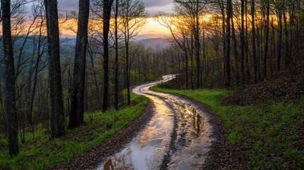 Aufkleber - Winding forest road reflecting sunset, puddles, trees, hills.