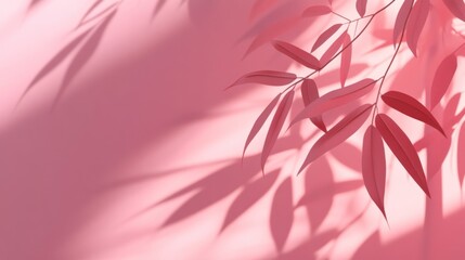 Aufkleber - Pink leaves and shadows on pink background.