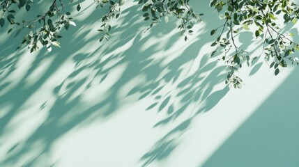 Poster - Sunlight casts shadows of leaves on a light green wall.