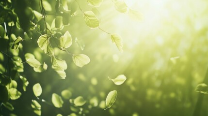 Aufkleber - Sunlight shining through bright green leaves, gently swaying in the breeze.