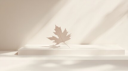 Aufkleber - Single beige leaf on a minimalist white platform, sunlit background.