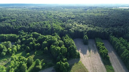 Poster - Young Forest Expanding Across Rural Land