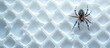 © The 2R Artificiality - Top view of spider on textured white plastic waffle background with ample space for text or design elements