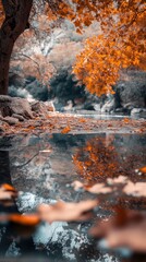 Wall Mural - Autumnal stream reflection in park.