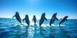 © JELENA - A group of dolphins jumping out of the water