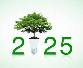 Wall Mural - 2025 text and big tree on soil with led light bulb on white background, Happy new year 2025 ecology and saving energy concept