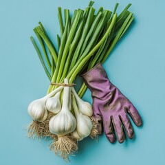 Wall Mural - Fresh garlic and scallions with gardening glove.