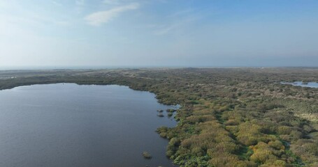 Wall Mural - Aerial drone view of the Dune landscape of green trees by the water in Texel, The Netherlands