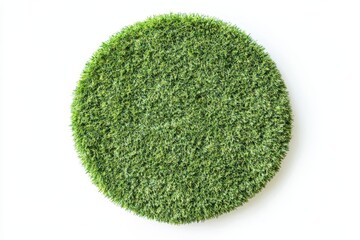circular patch of artificial grass on white background. (3)