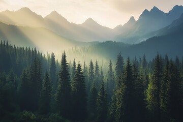 Naklejka na meble Majestic sunrise illuminating misty mountain forest.