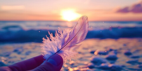 Hand holding a feather on a beach