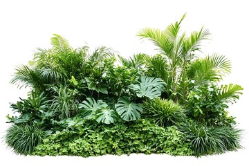 lush tropical foliage, including palm trees and monstera deliciosa, creates a vibrant green paradise