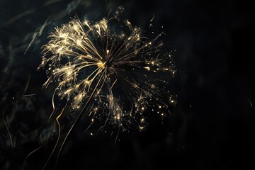 A close-up shot of a firework exploding in darkness, ideal for use in images about celebrations, events or nighttime scenes