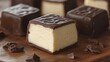 © KarpenArt Studio - Close-up of chocolate-covered vanilla fudge candy with a bite taken out.