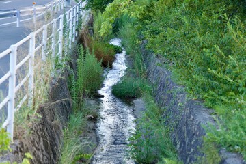 Poster - Small river running along the side of the road