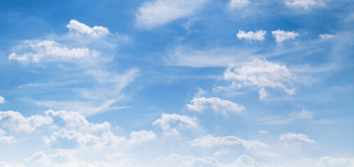 Wall Mural - The sky is blue with a few clouds scattered throughout