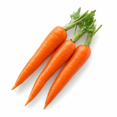 Wall Mural - Fresh Carrots Photo