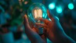 © Muhammad - Hands holding an eco-friendly light bulb