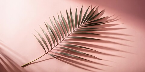 Aufkleber - A single palm frond casts a long shadow on a soft pink background, creating a minimalist and elegant composition.