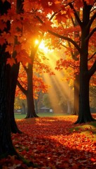 Wall Mural - Golden sunlight bathes vibrant autumn leaves on trees , fall, bright