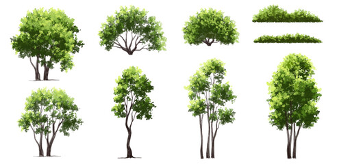Wall Mural - vector watercolor green tree or forest side view isolated on white background for landscape and arch
