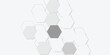 © Hasan - Abstract technology white and grey geometric hexagon on transparent concept design honeycomb shape vector